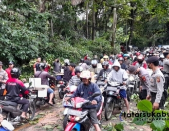 Pohon Tumbang Tutup Akses Jalan Palabuhanratu - Cisolok
