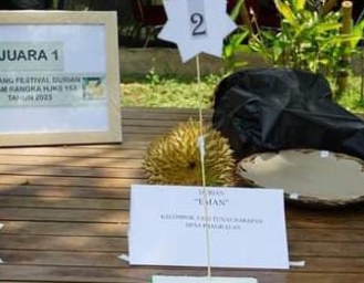 Durian Kampung Cigadog Pemenang Festival Durian Cikidang 2023