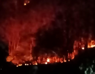 1 Hektare Lahan Kosong di Sagaranten Sukabumi Terbakar 