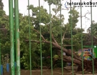 Pohon Tumbang Timpa Bangunan Sekolah TK di Nagrak Sukabumi