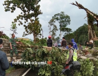 Proses Evakuasi Pohon Tumbang di Ubrug Sukabumi