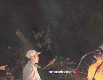 Pohon Tumbang Tutup Akses Jalan Palabuhanratu Surade