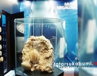 Museum Hiu Purba Pertama di Indonesia Ada di Sukabumi Selanjutnya Museum Site Taman Megalodon Direncanakan