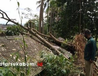 Pohon Tumbang Timpa Rumah Warga di Cisaat Sukabumi