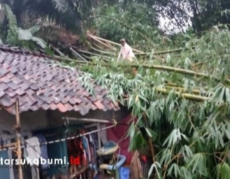 Dua Rumah Tertimpa Pohon Tumbang di Sukabumi