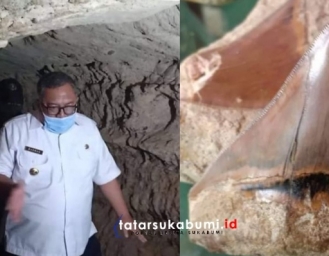 Bupati Sukabumi Tinjau Lokasi Penemuan Fosil Hiu Purba Megalodon di Surade