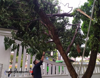Cuaca Ekstrem Batang Pohon di Gedung Pendopo Sukabumi Tumbang