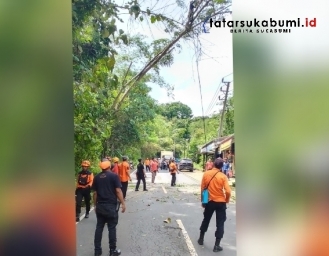 Potensi Longsor dan Pohon Tumbang Timpa Rumah di Ruas Jalan Kiaradua - Jampangkulon
